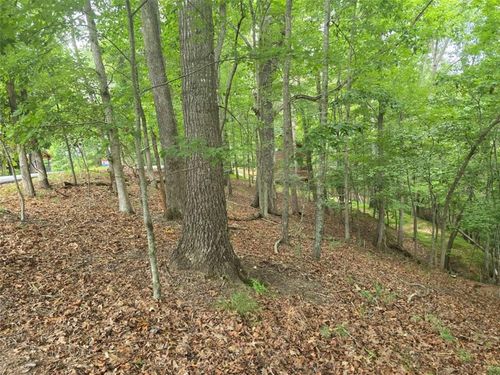 Lot476 Riverview Dr, Ellijay, GA, 30540 | Card Image