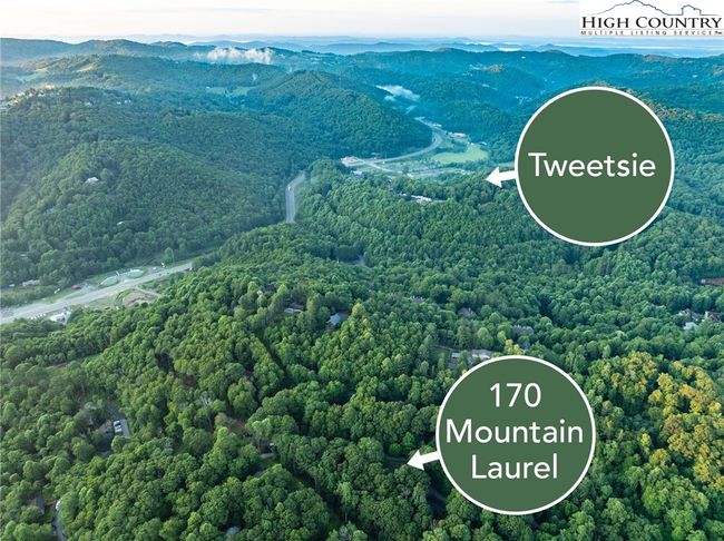 170 Mountain Laurel Ln, House other with 2 bedrooms, 4 bathrooms and null parking in Blowing Rock NC | Image 7