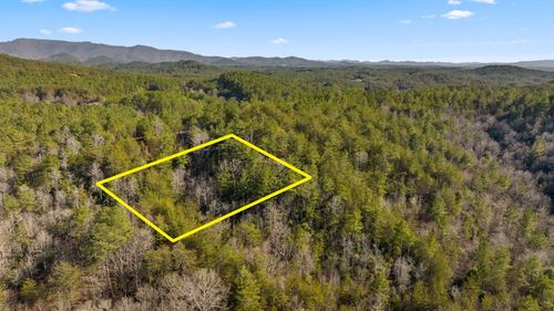 19 Skyline Rd, Turtletown, TN, 37391 | Card Image