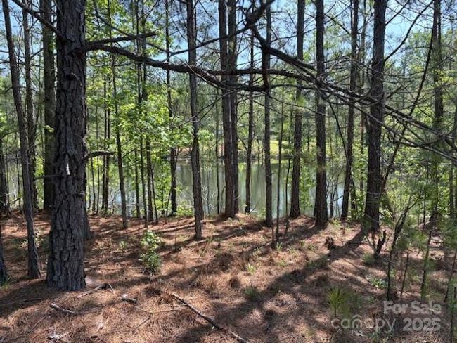 pond | Image 8