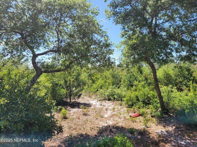 2155 State Road 40, Home with 0 bedrooms, 0 bathrooms and null parking in De Leon Springs FL | Image 64