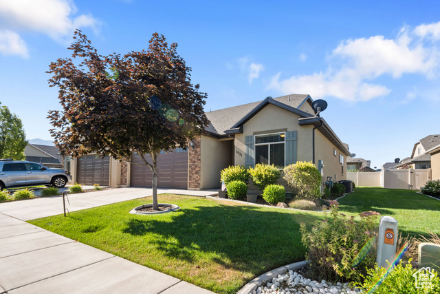 480 , Lindon, UT 84042