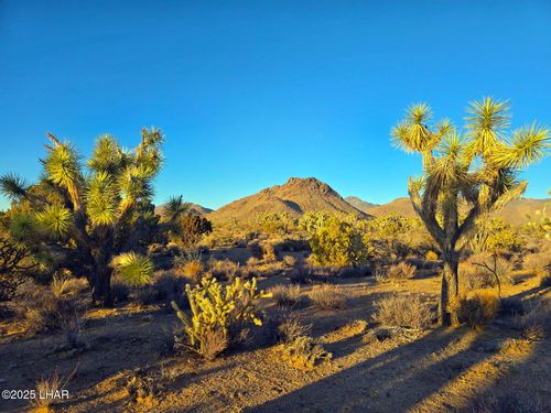 2886 S Cattle Crossing Rd, Yucca, AZ, 86438 | Card Image