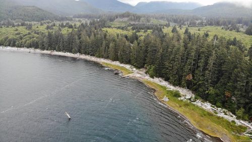 Lot 2 Carmanah Mainline Rd, Lake Cowichan, BC, V0R3E1 | Card Image