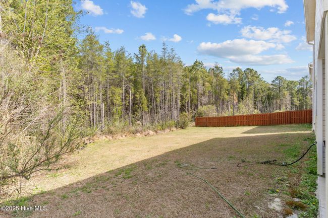 393 Frisco Way, Townhouse with 3 bedrooms, 3 bathrooms and 1 parking in Holly Ridge NC | Image 29