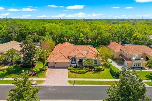 1560 Canopy Oaks Boulevard, Palm Harbor, FL, 34683 | Card Image