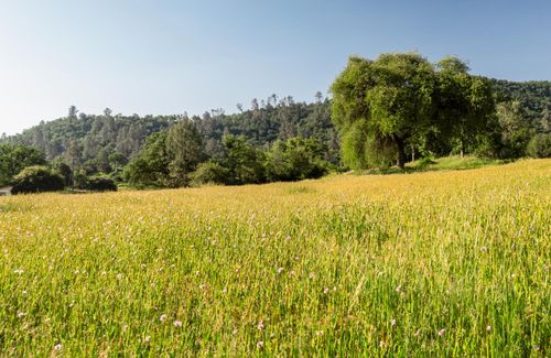 27719 Burrough Valley Road, Tollhouse, CA, 93667 | Card Image