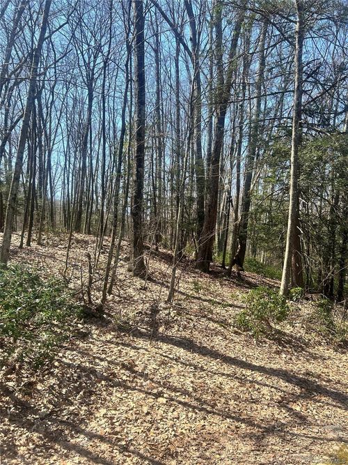 TBD Sidney St, Kerhonkson, NY, 12446 | Card Image