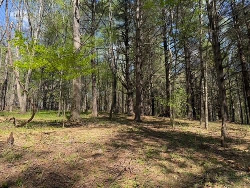 TBD Crestview Dr W, Creston, NC, 28615 | Card Image