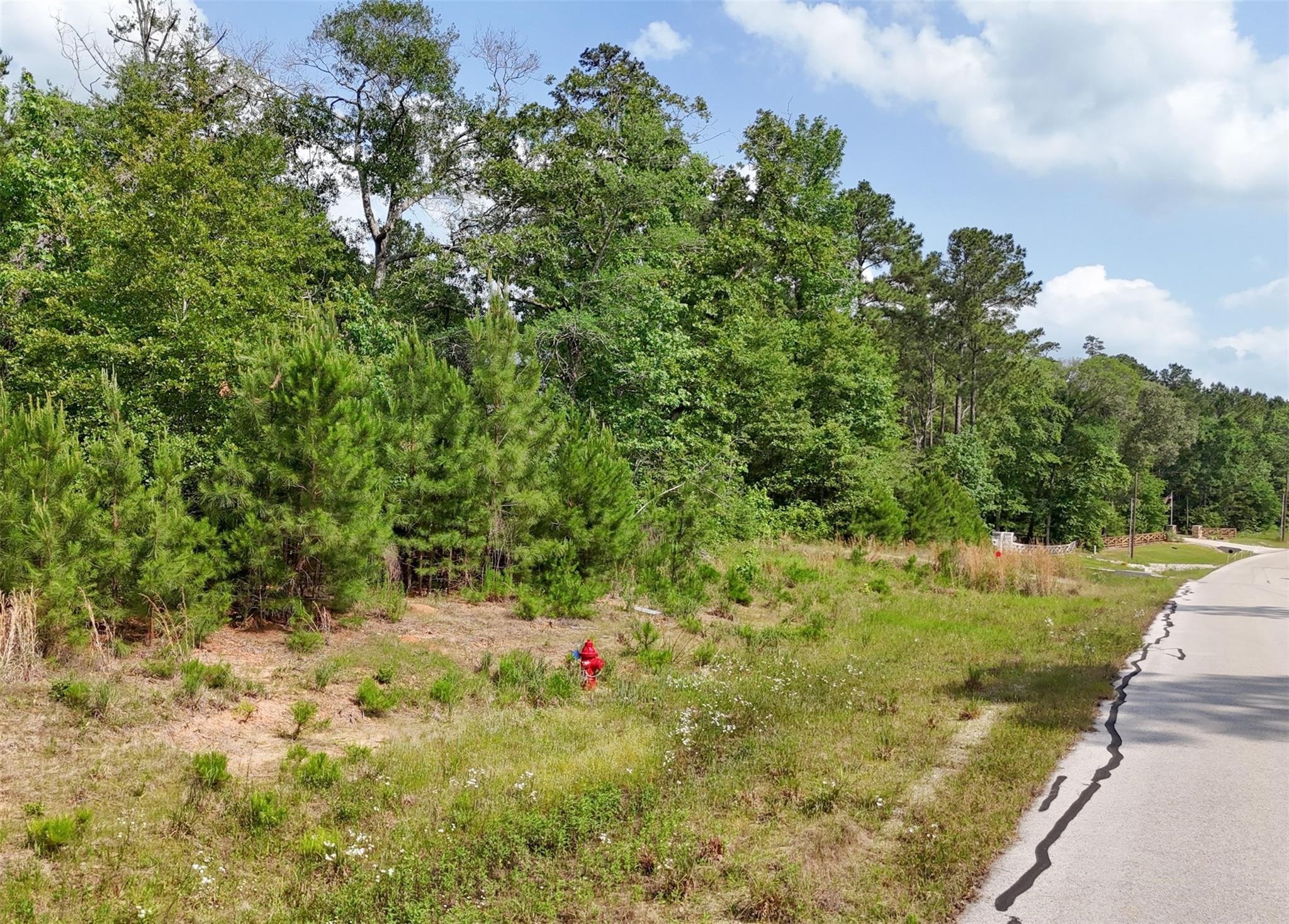 Land in Huntsville 5