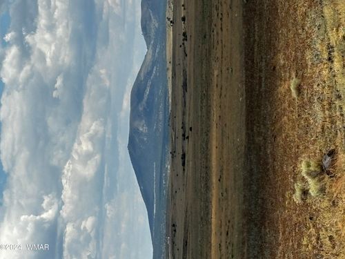 53C County Rd, Concho, AZ, 85924 | Card Image