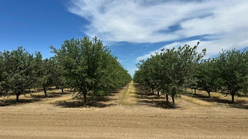 0 W Belmont Ave, Firebaugh, CA, 93622 | Card Image