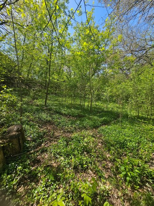 38581 Hillandale Dr, Spring Grove, IL, 60081-9035 | Card Image