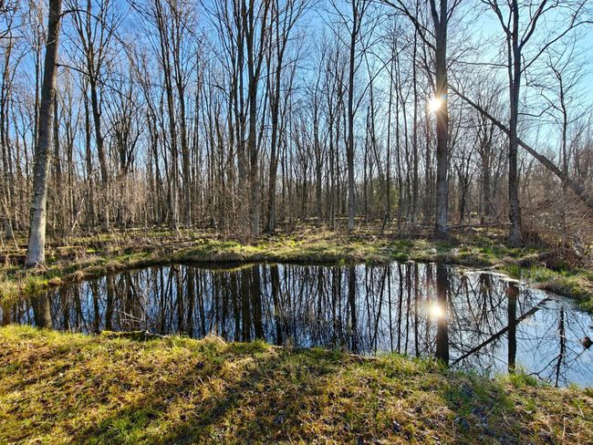 10830 3 Mile Rd, Home with 0 bedrooms, 0 bathrooms and null parking in Branch MI | Image 23