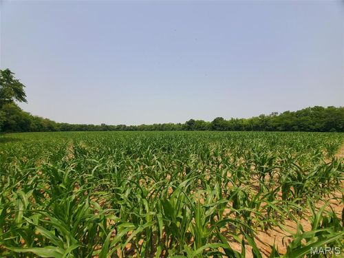 1100 N 5th St, La Grange, MO, 63448 | Card Image