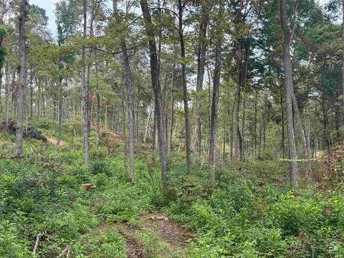 off W County Road 325 N, West Baden Springs, IN, 47469 | Card Image