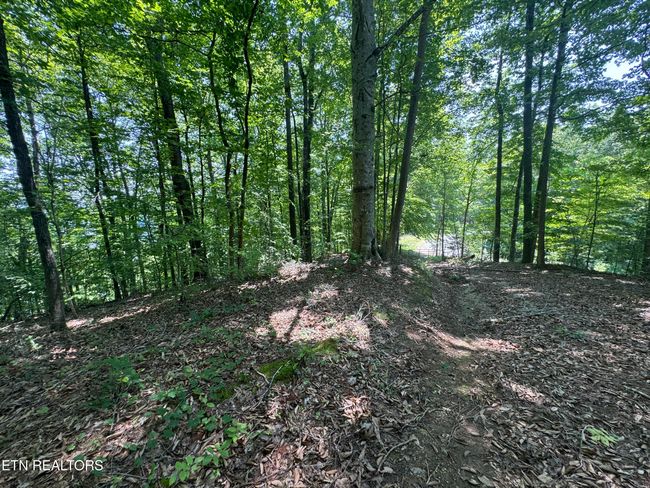 44 Ridgeland Dr, Home with 0 bedrooms, 0 bathrooms and null parking in Sharps Chapel TN | Image 24