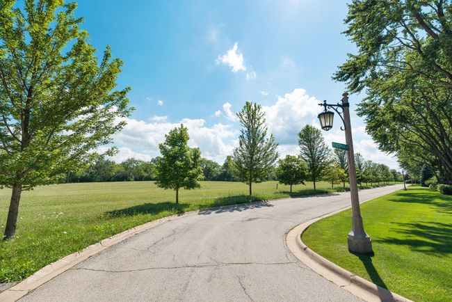 lot 7 Whitehall Lane, Home with 0 bedrooms, 0 bathrooms and null parking in Lake Forest IL | Image 5