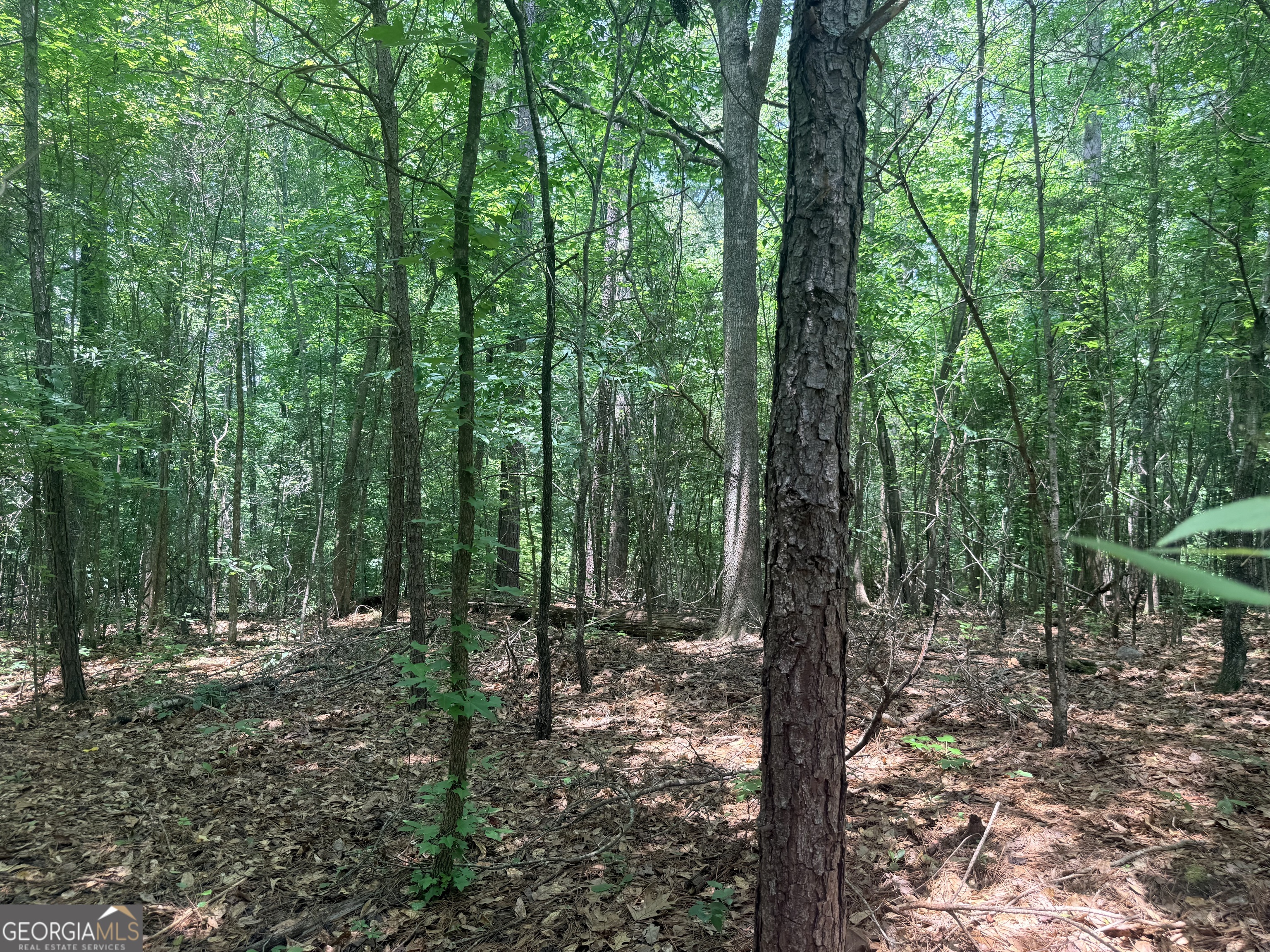 Land in Snellville 4