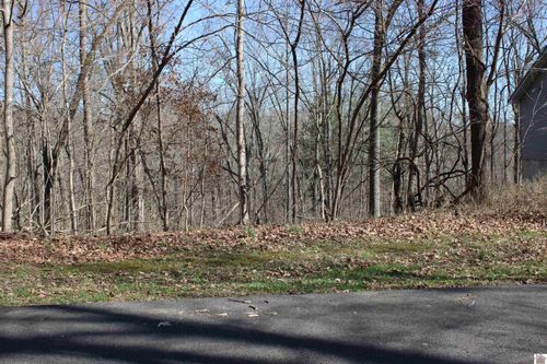 Lot 54/55 Lisanby Rd, Eddyville, KY, 42038 | Card Image