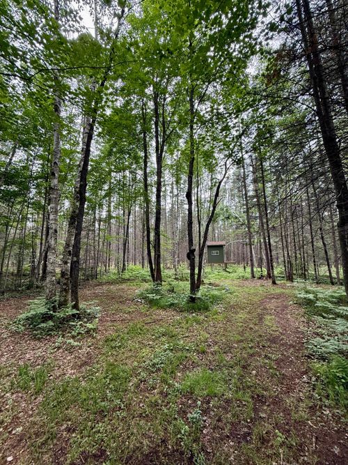 10617 Pat Phalen Rd, Crandon, WI, 54520 | Card Image