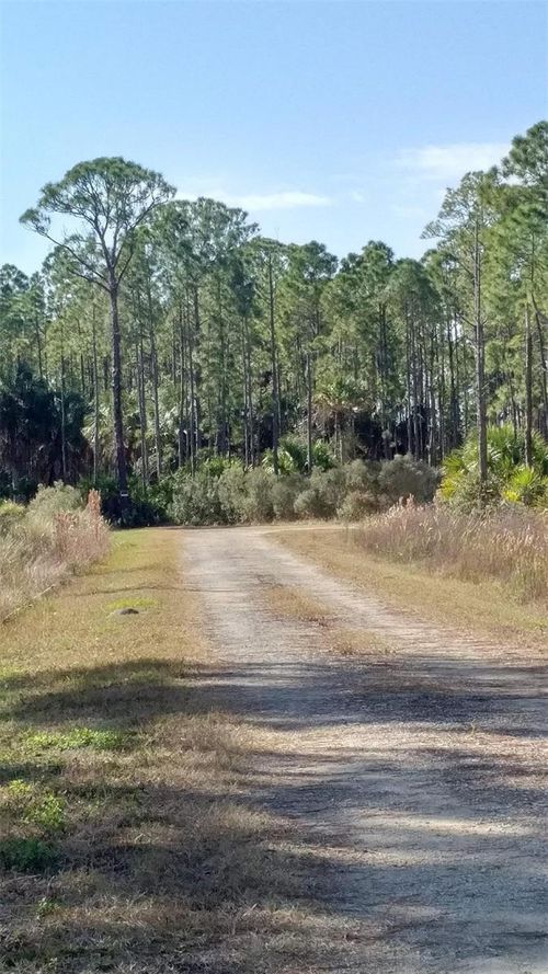 Lot 7 Sw 104th Ct, CEDAR KEY, FL, 32625 | Card Image