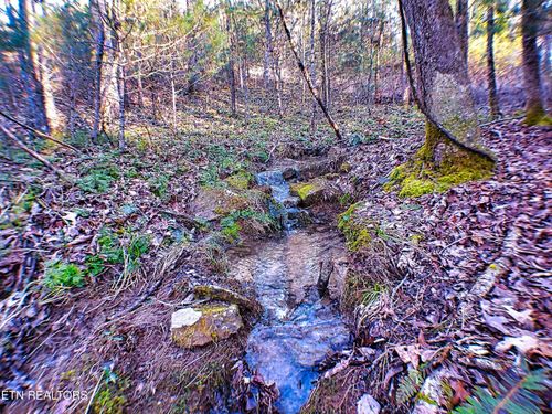 144 Charlie Jones Rd, Deer Lodge, TN, 37726-3732 | Card Image