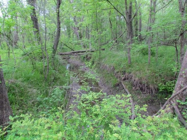 Tract 1 Renick Road, Home with 0 bedrooms, 0 bathrooms and null parking in Oak Grove MO | Image 10