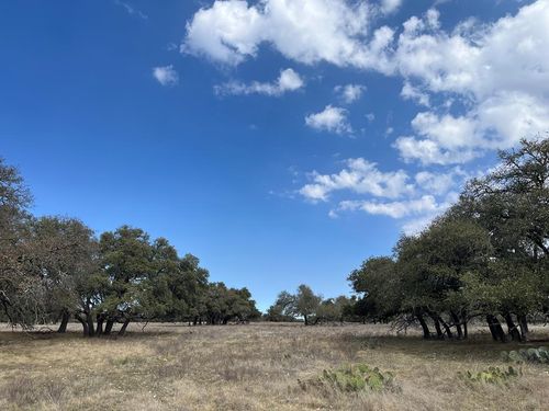 13-171 Crooked Tree Cir, Harper, TX, 78631-2159 | Card Image