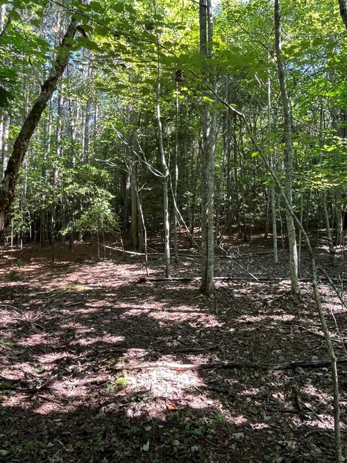 Lot 17 Hidden Branch Dr, Young Harris, GA, 30582-3290 | Card Image