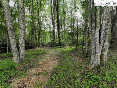 1776 Ripshin Mountain Rd, Roan Mountain, TN, 37687-3758 | Card Image