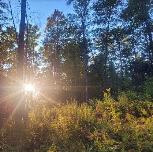 0 Sutton Rd, Lyndonville, VT, 05851 | Card Image