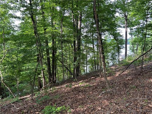 0 lot 52 Highpoint Cv, Northport, AL, 35475 | Card Image