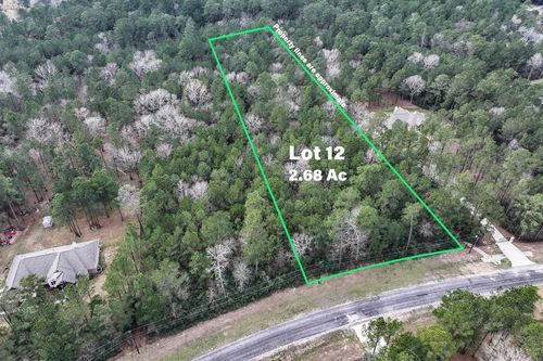 Lot 12 Chisholm Trail, Huntsville, TX, 77340 | Card Image