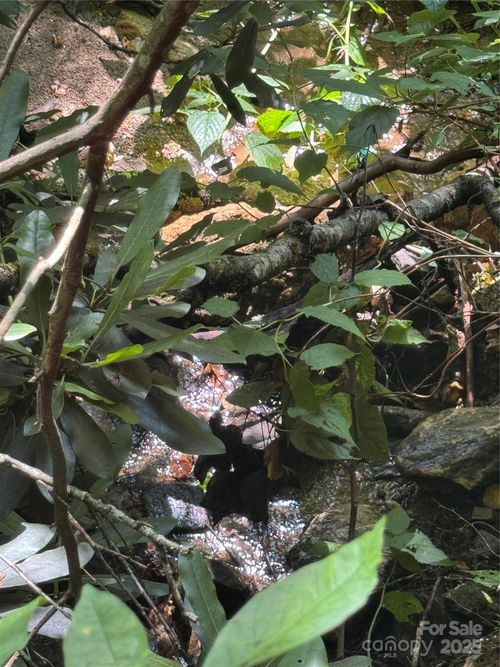 TBD Little Squirrel Creek Rd, Newland, NC, 28657 | Card Image