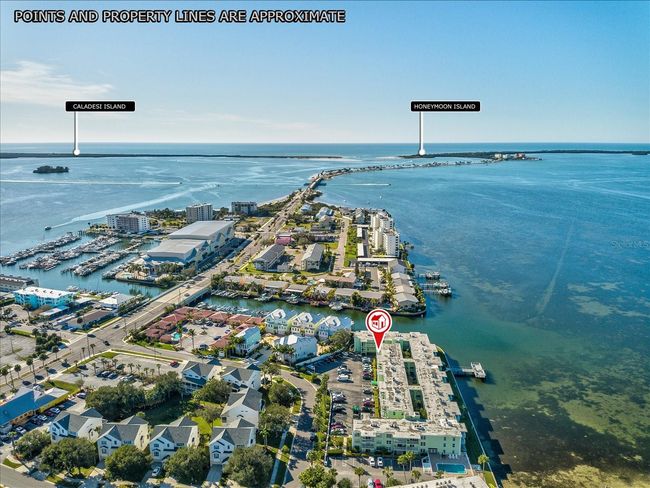 APT-106 - 464 N Paula Dr, Condo with 2 bedrooms, 2 bathrooms and null parking in DUNEDIN FL | Image 41