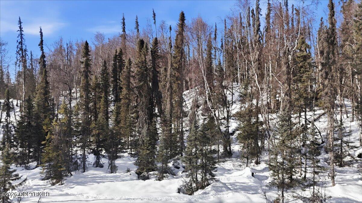 Land in Big Lake 5
