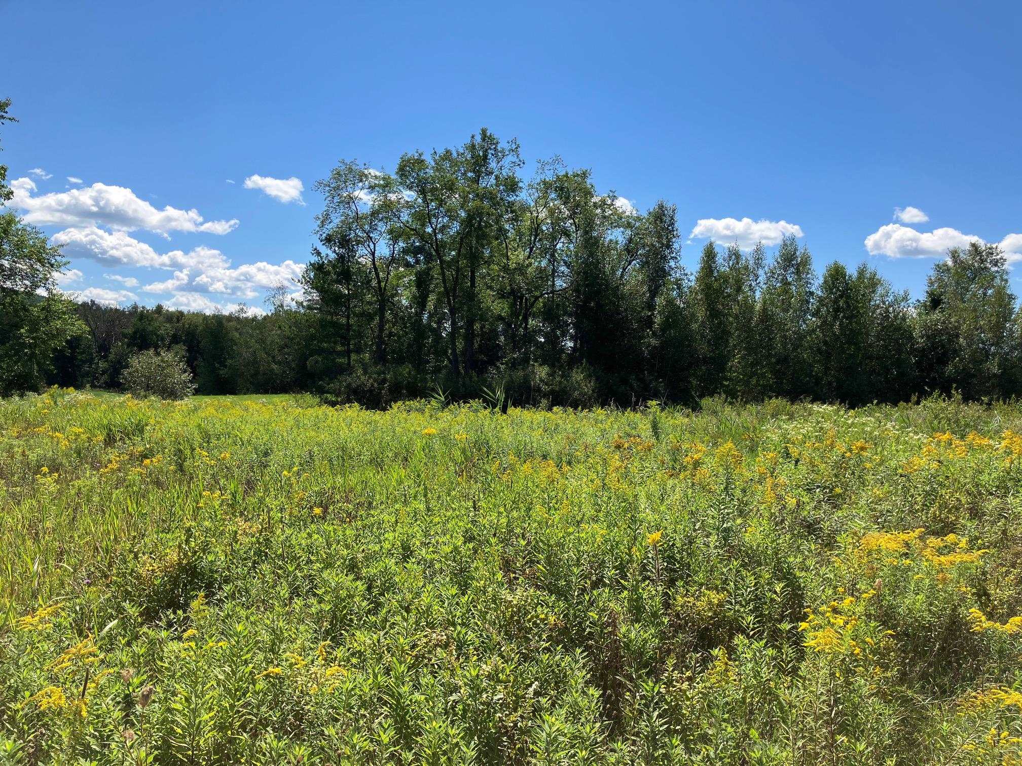 Land in Richford 3