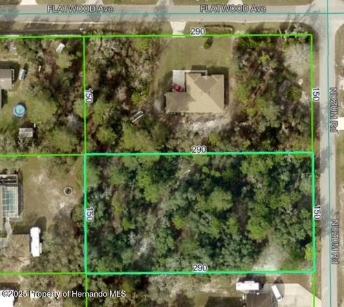 0 Nuzum Rd, Brooksville, FL, 34613 | Card Image
