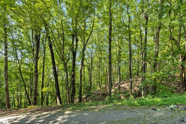 00 Old Chapman Trl, Home with 0 bedrooms, 0 bathrooms and null parking in Pickens SC | Image 14
