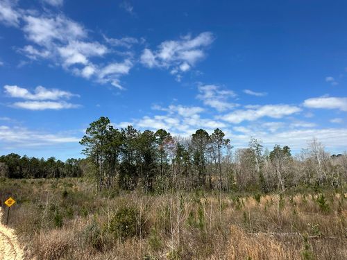 river-road-Tract#6409 Davis Rd, Caryville, FL, 32427 | Card Image