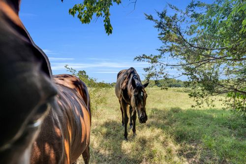 TBD County Road 348, Wills Point, TX, 75169 | Card Image
