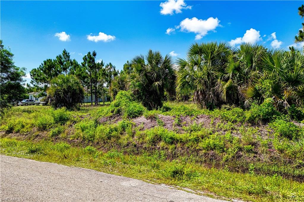 Land in NAPLES 2