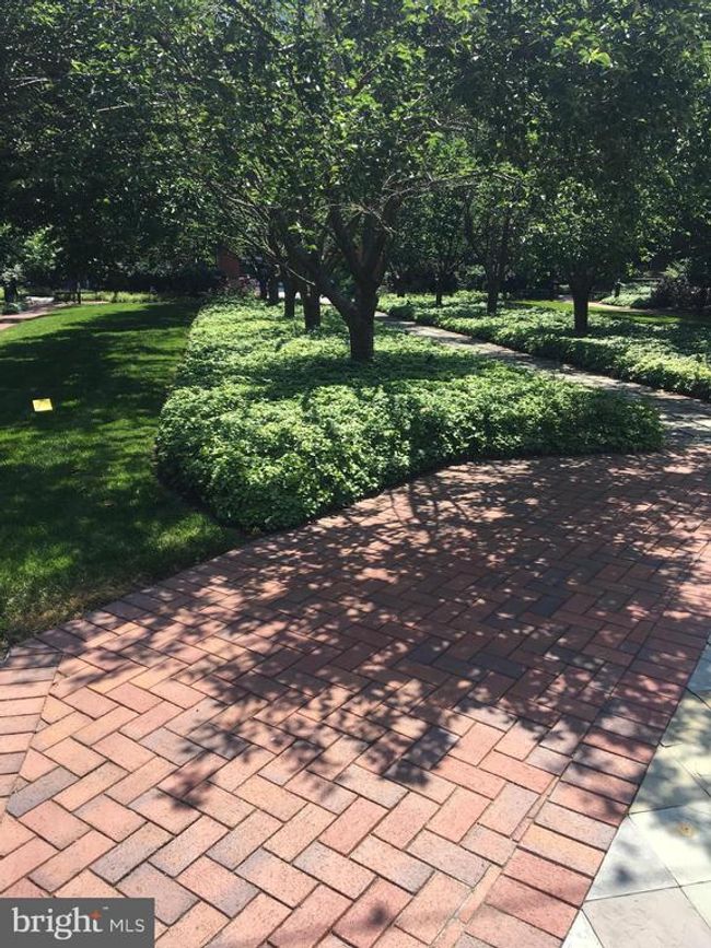 UNIT-334 - 520 John Carlyle St, Condo with 1 bedrooms, 1 bathrooms and null parking in ALEXANDRIA VA | Image 20
