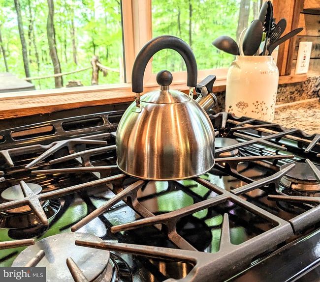 326 Preacher Ln, House other with 1 bedrooms, 1 bathrooms and null parking in Great Cacapon WV | Image 44