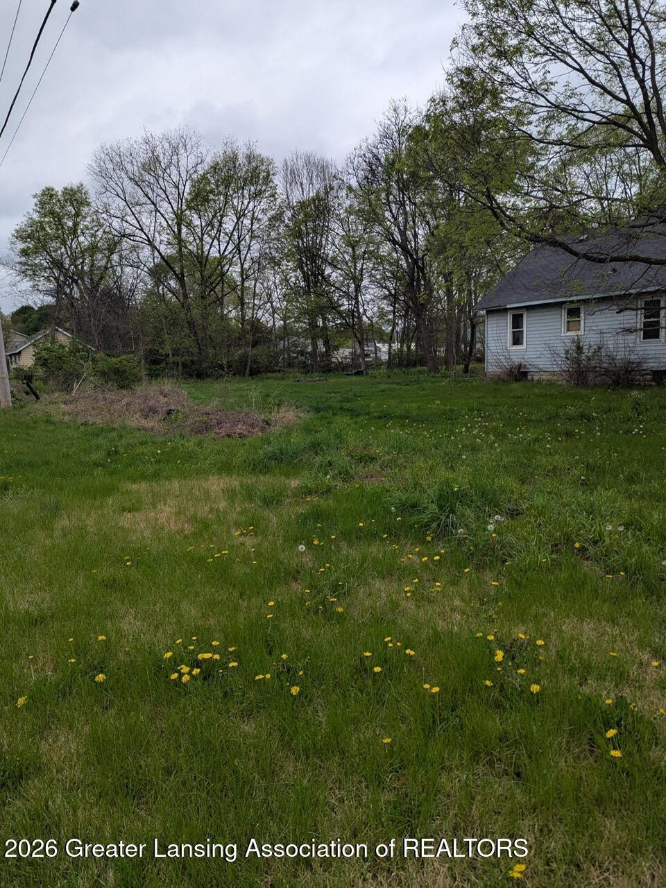 Residential in Lansing 2