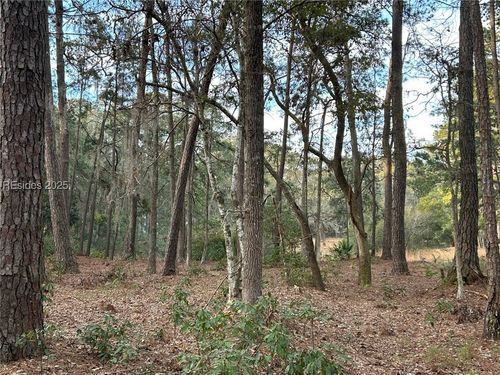 44 Masters Dr, Daufuskie Island, SC, 29915-9149 | Card Image