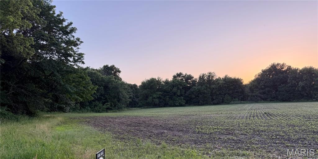 Land in Kirksville 2