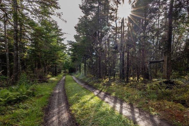 8132 Gabarus Highway, House other with 1 bedrooms, 1 bathrooms and null parking in Gabarus NS | Image 20
