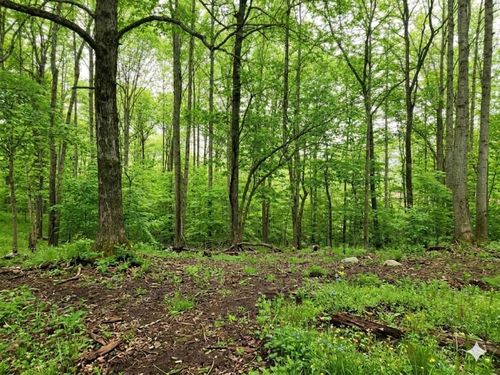 0 Periwinkle Path, Leoma, TN, 38468 | Card Image